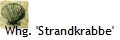Whg. 'Strandkrabbe'